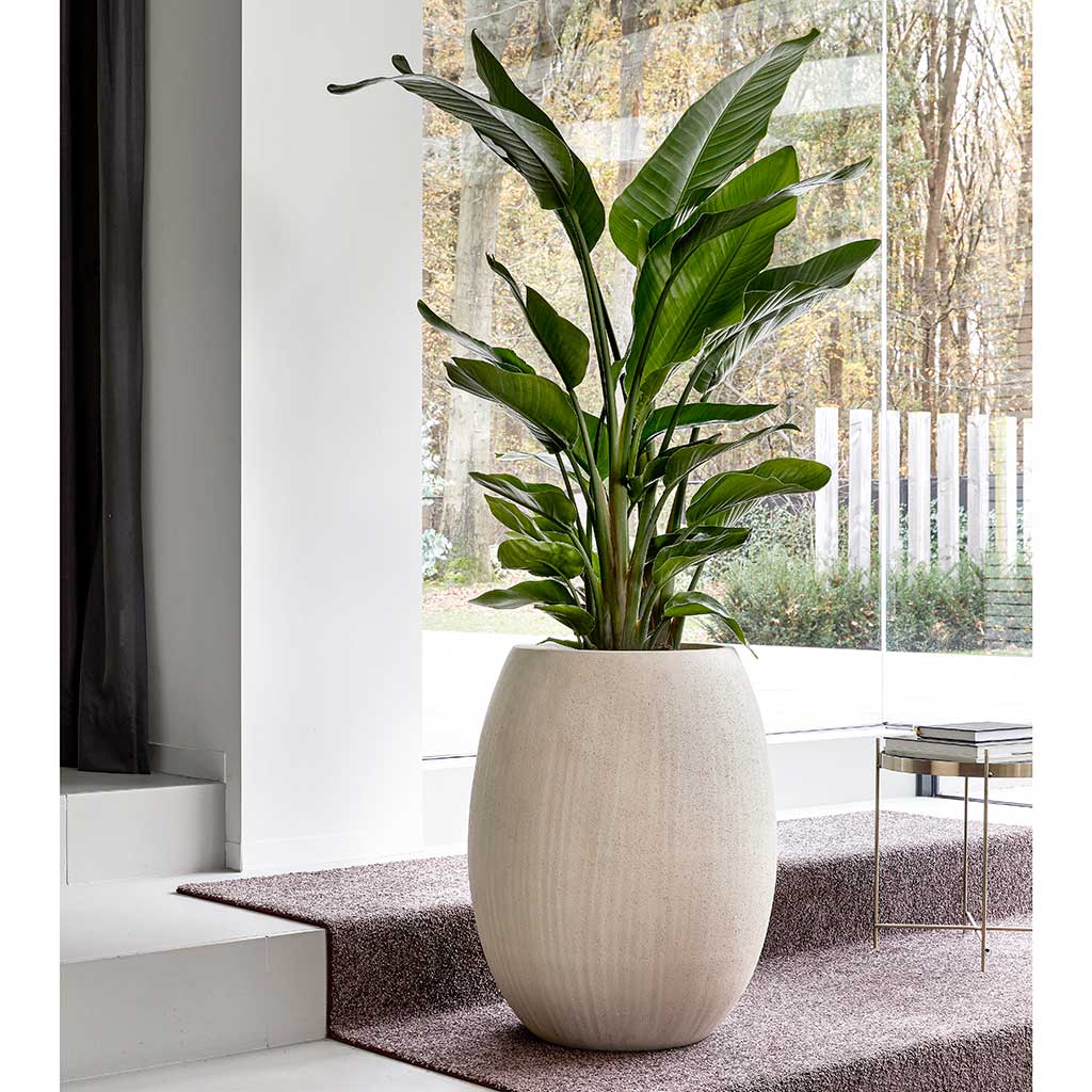 Polystone Coated Plain Balloon Planter Natural Lifestyle