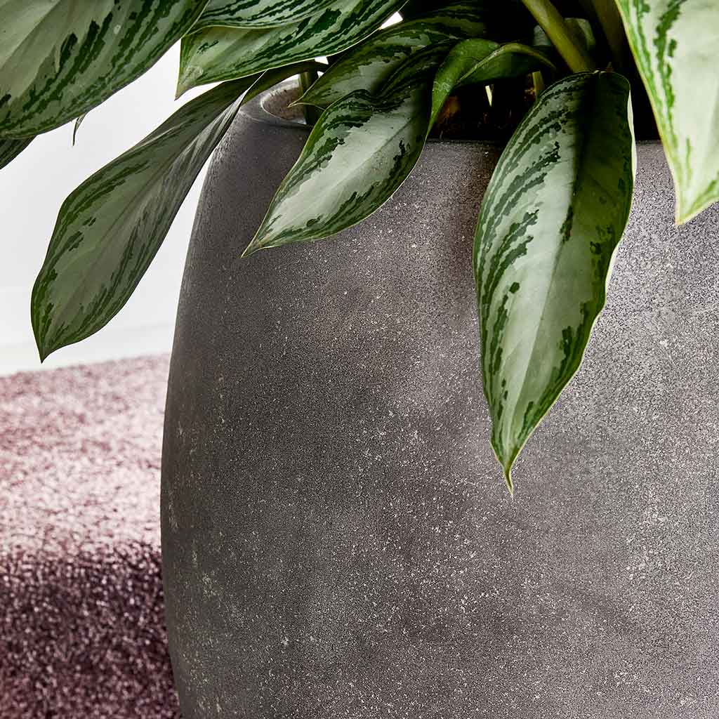 Polystone Coated Plain Balloon Planter Raw Grey Lifestyle Close-Up