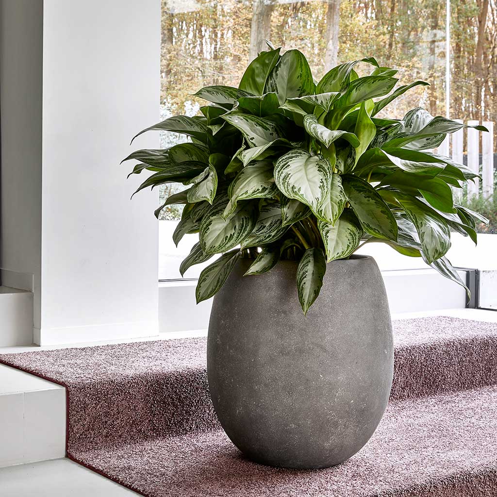 Polystone Coated Plain Balloon Planter Raw Grey