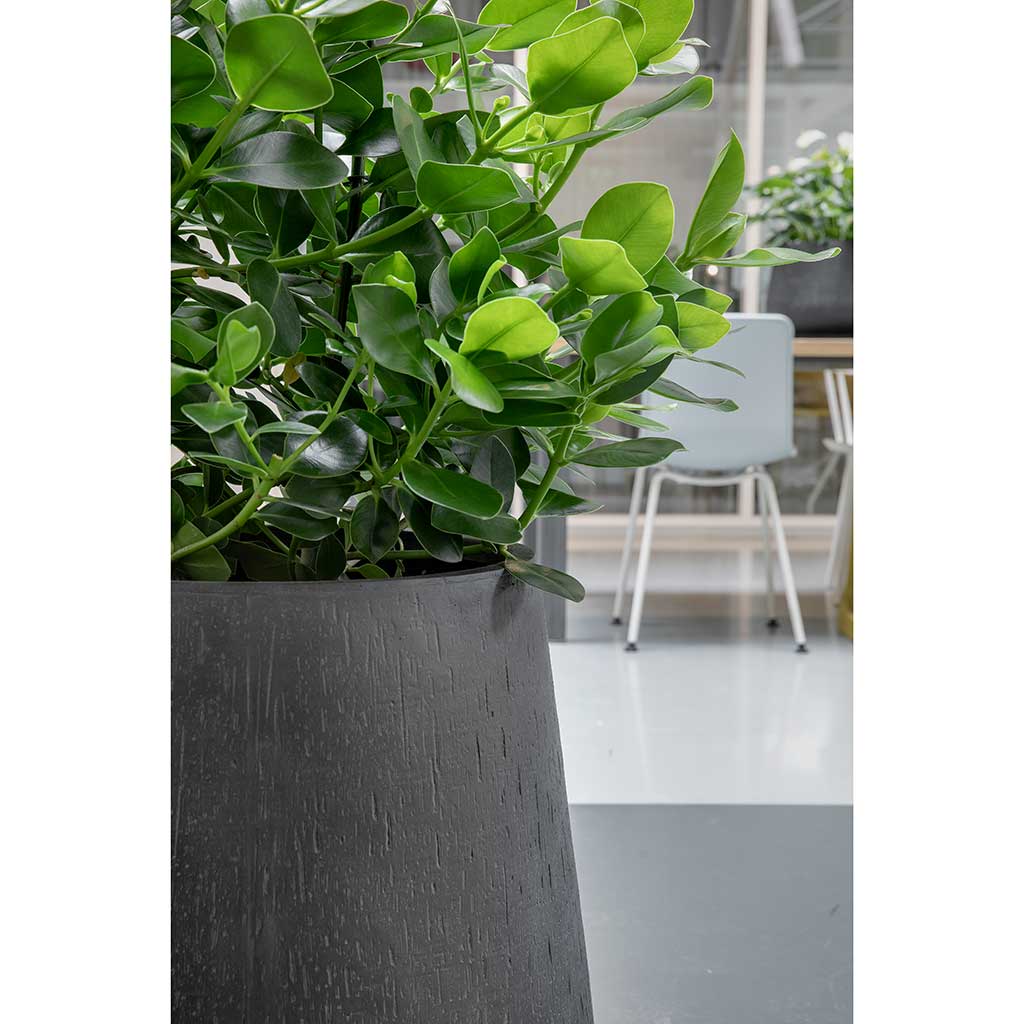 Raindrop Planters Anthracite Texture