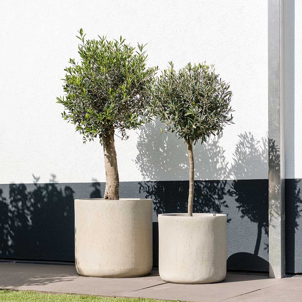 Raindrop Round Planters Stone & Outdoor Trees