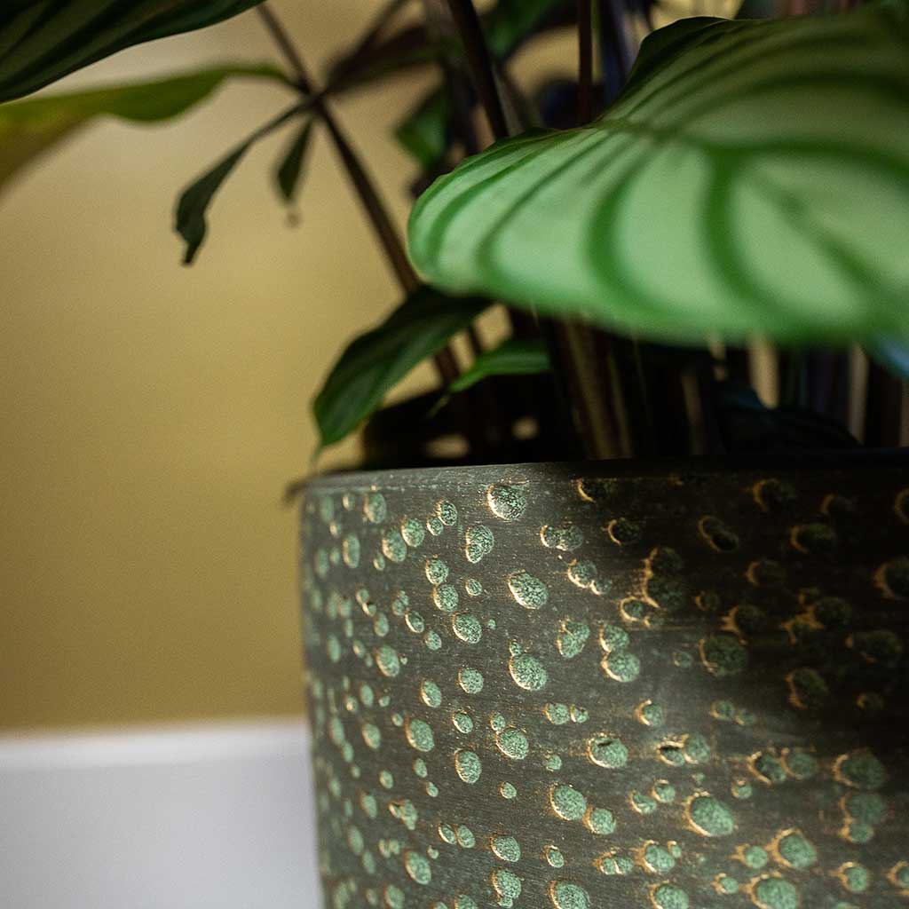 Rinca Plant Pot - Shiny Green - Close Up