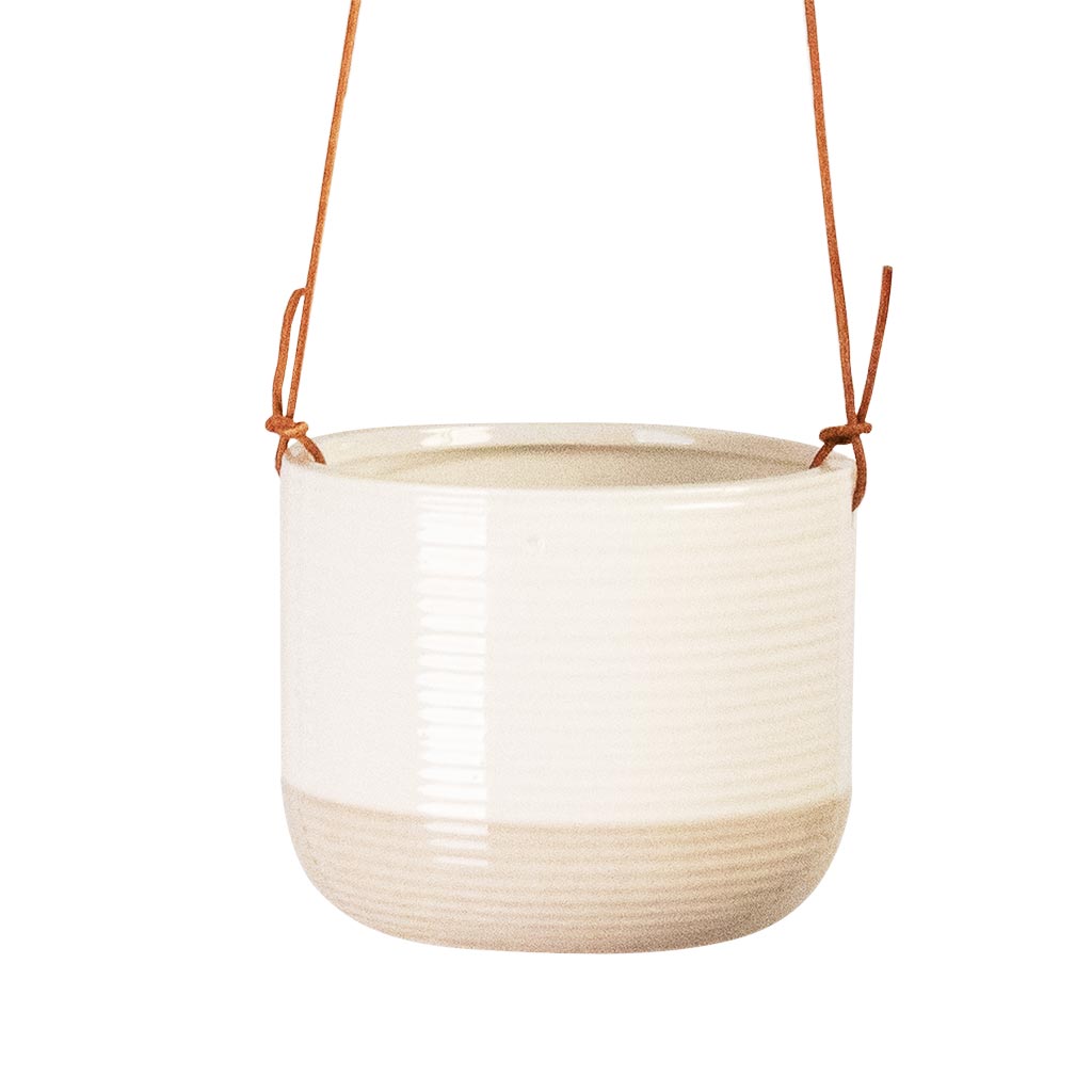 Ripple Hanging Indoor Pot 11x9cm