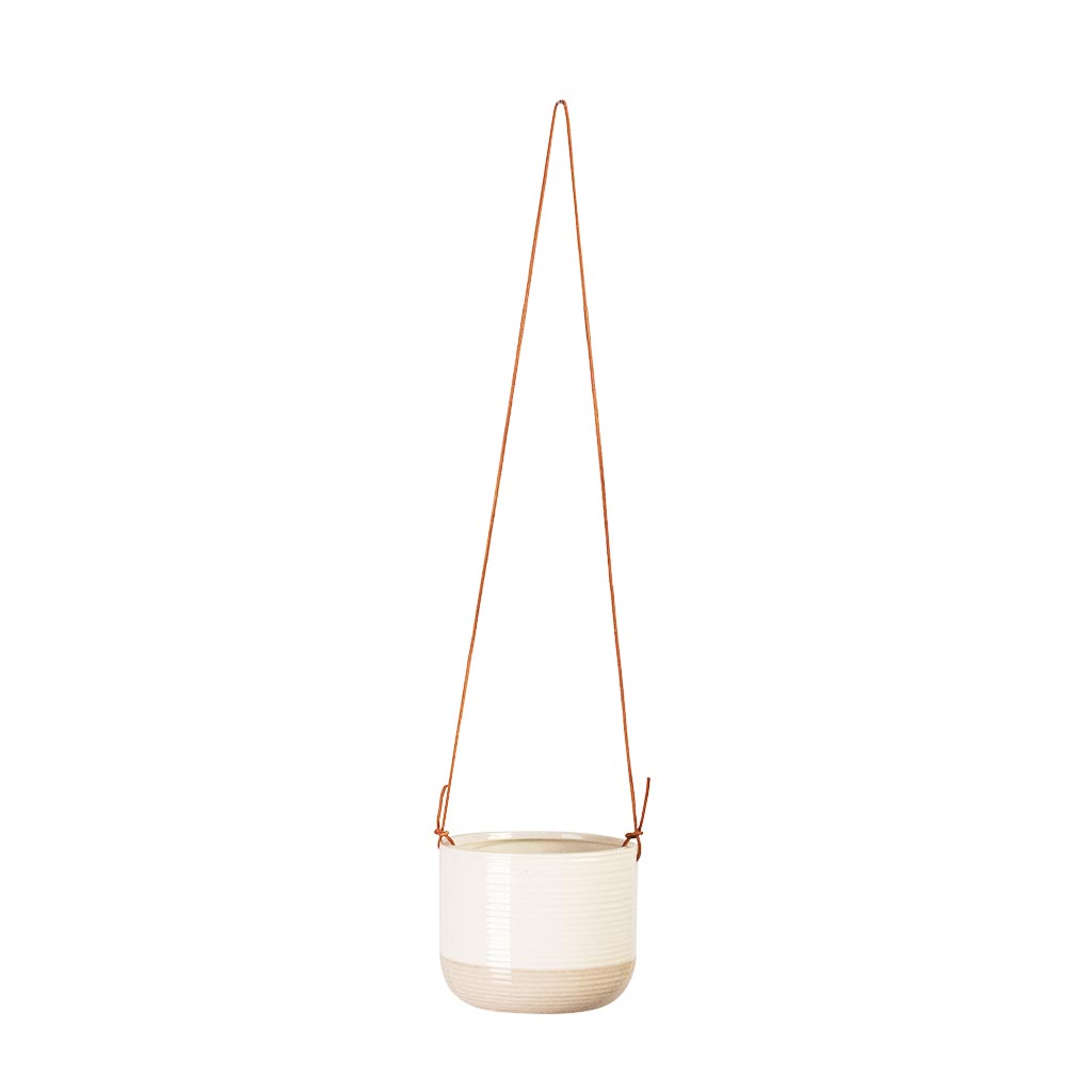 Ripple Hanging Indoor Pot 11x9cm
