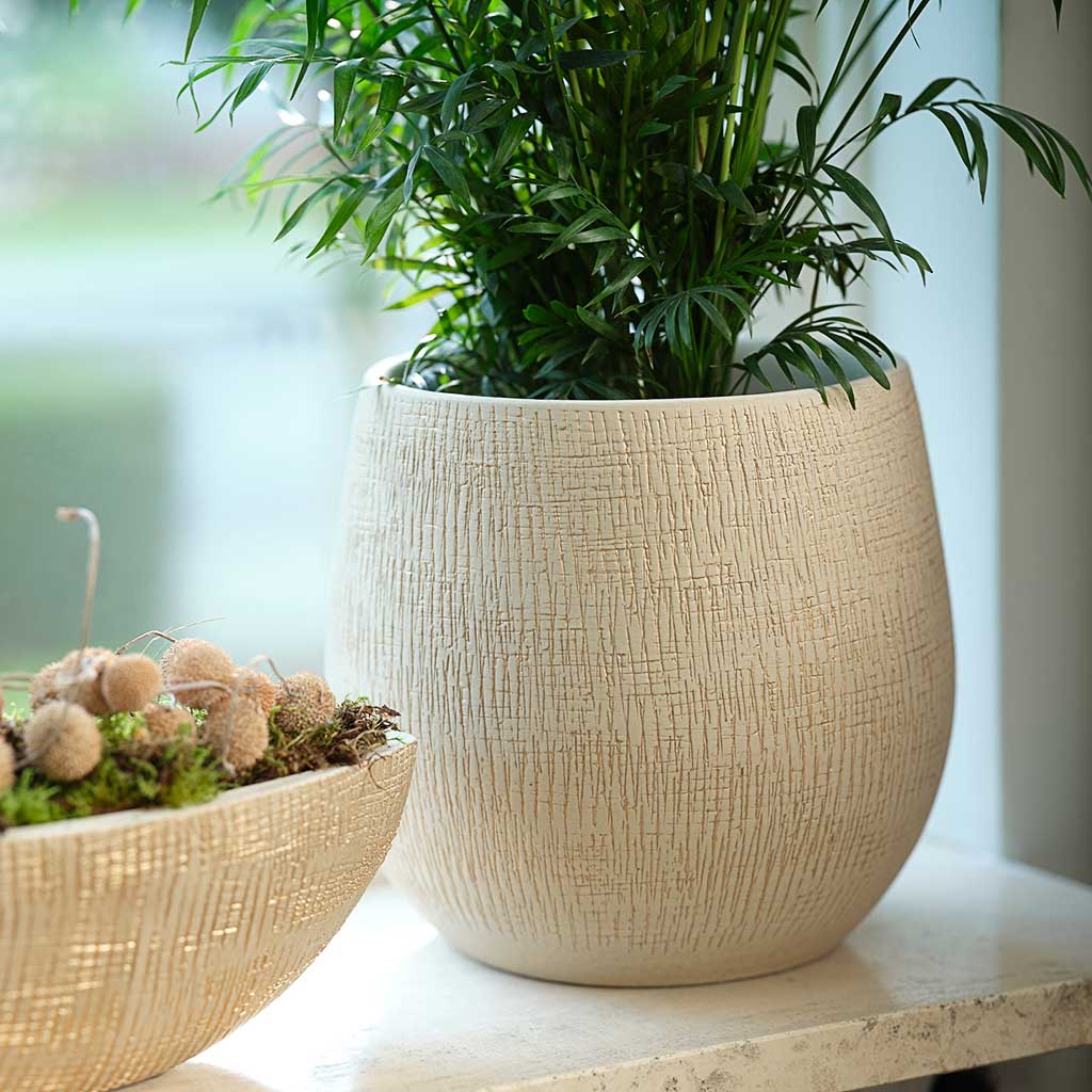 Ryan Plant Pot - Sand Gold & Parlour Palm