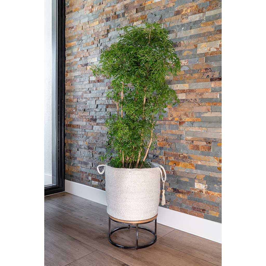 Stefan Plant Basket - Natural