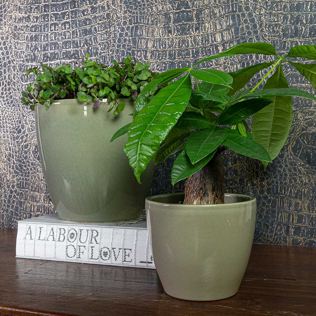 Sven Plant Pot Mint with Plants Lifestyle