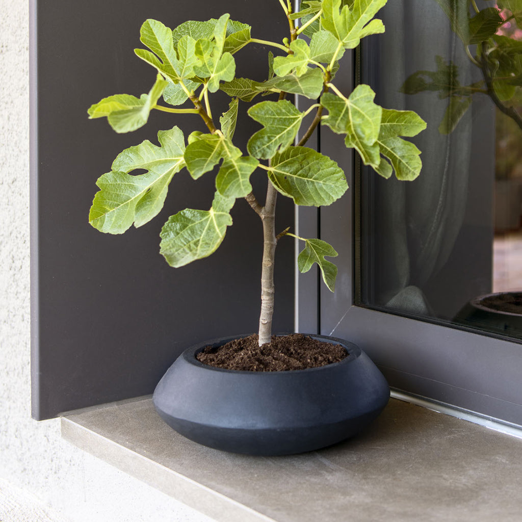 Tara Natural Planter - Black