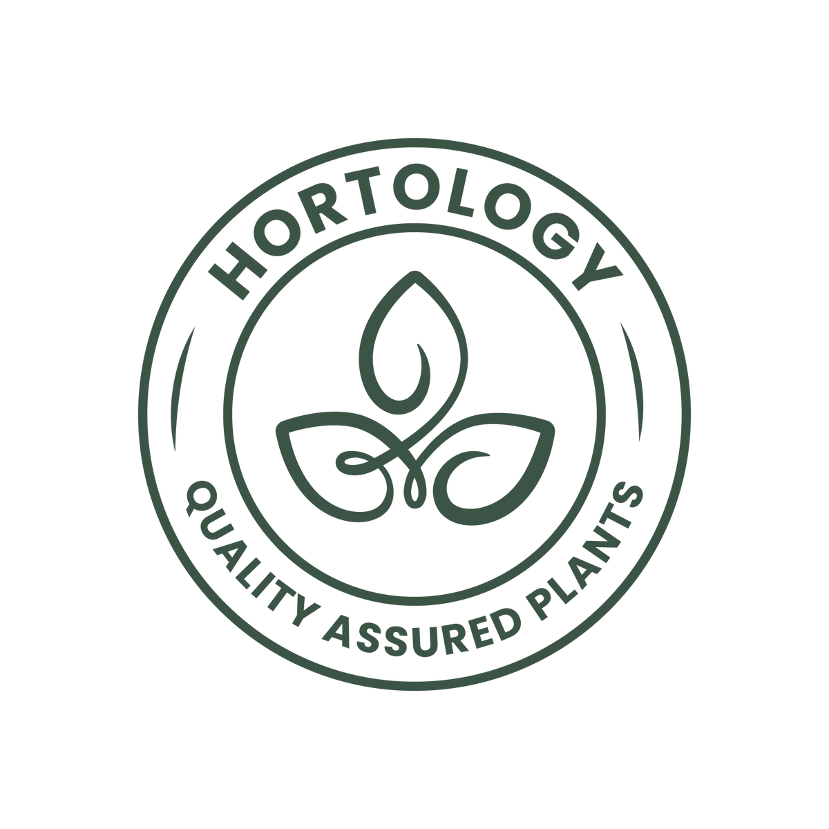 Quality Assured Houseplants From Hortology